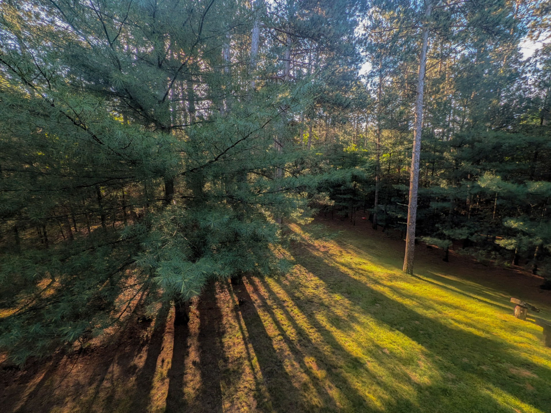 The property's private wooded acre near Wisconsin Dells in late-afternoon light